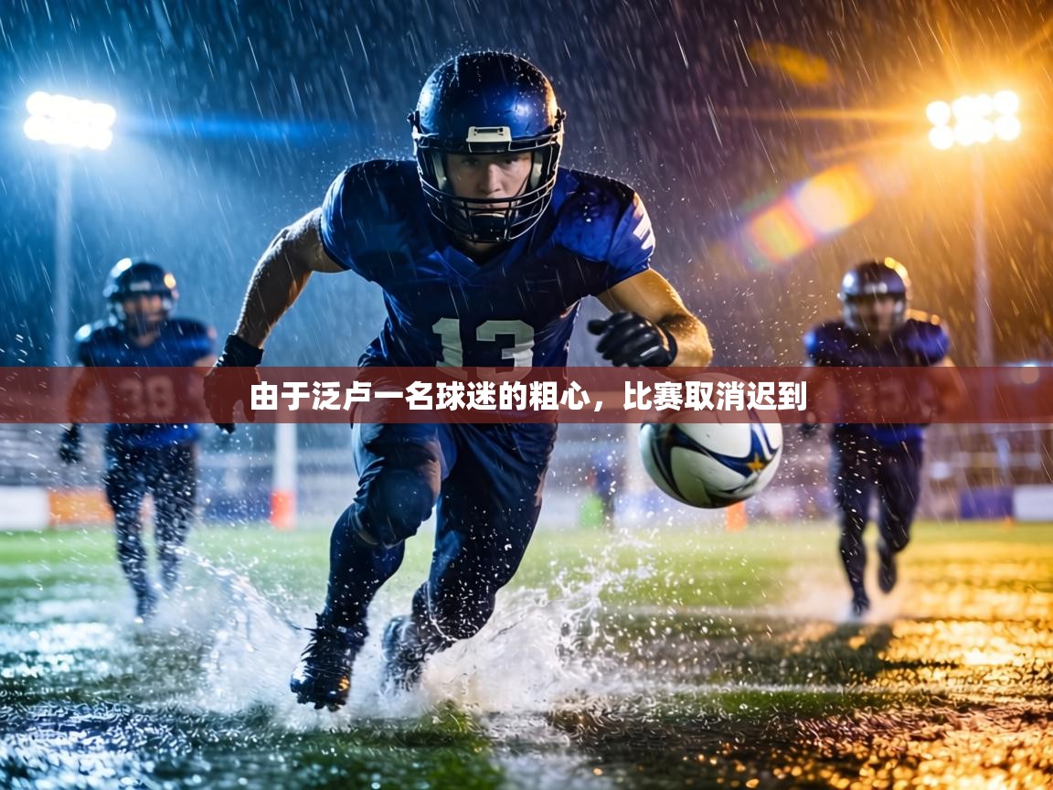 由于泛卢一名球迷的粗心，比赛取消迟到  第2张